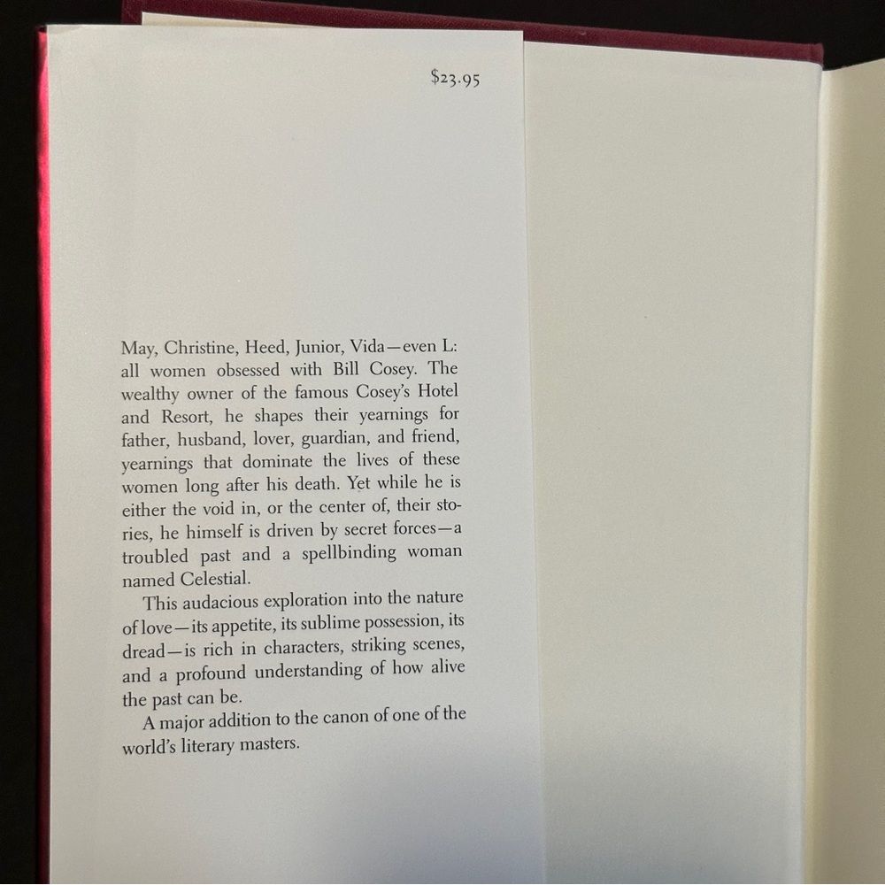 Love: A Novel by Toni Morrison | Literary Fiction | Hardcover Book - Picture 6 of 8